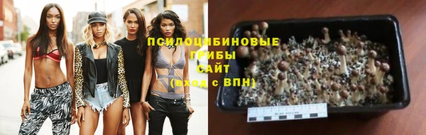 мескалин Аркадак