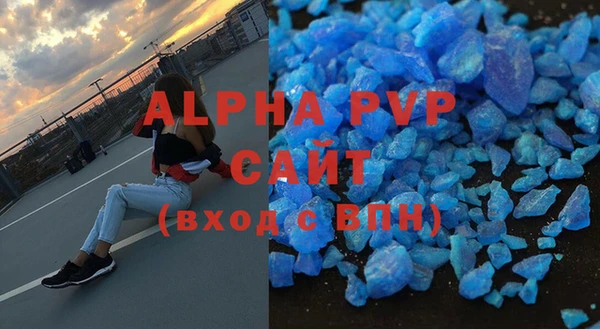 сатива Великий Новгород